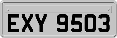 EXY9503