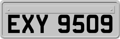 EXY9509
