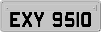 EXY9510