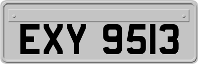 EXY9513