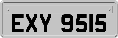 EXY9515