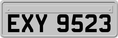 EXY9523