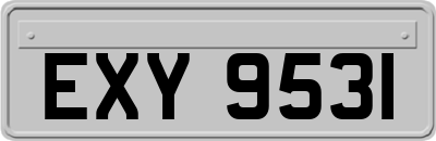 EXY9531