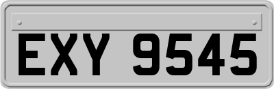 EXY9545