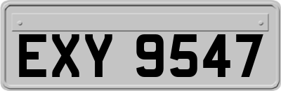 EXY9547