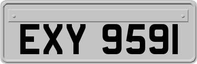 EXY9591