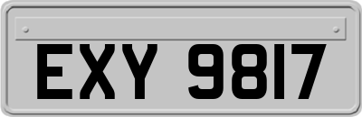 EXY9817