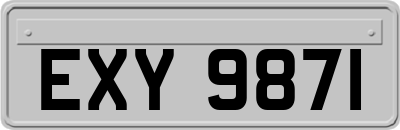 EXY9871