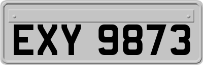 EXY9873
