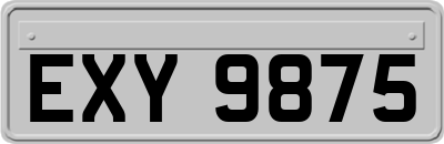EXY9875