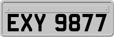 EXY9877
