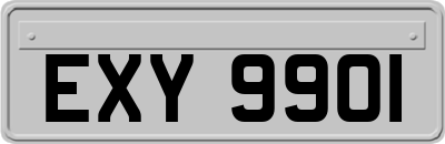 EXY9901