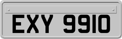 EXY9910
