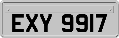 EXY9917