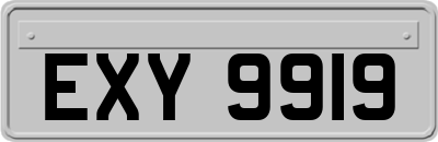 EXY9919