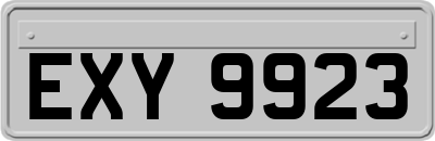 EXY9923