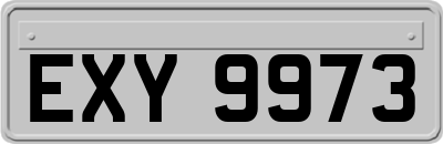 EXY9973