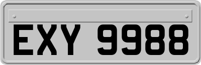 EXY9988