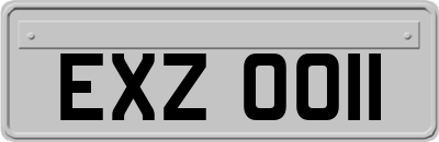 EXZ0011