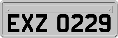 EXZ0229