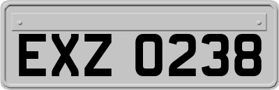 EXZ0238
