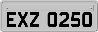 EXZ0250