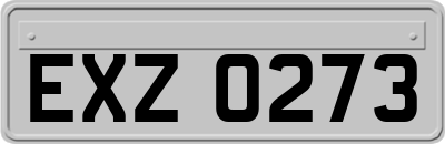 EXZ0273
