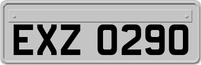 EXZ0290