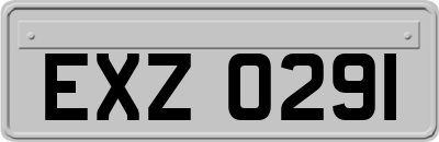 EXZ0291