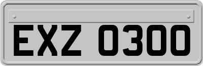 EXZ0300