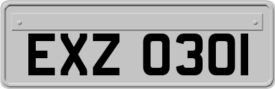 EXZ0301