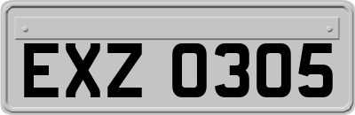EXZ0305