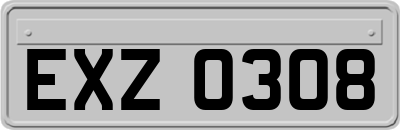 EXZ0308