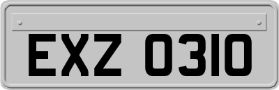 EXZ0310