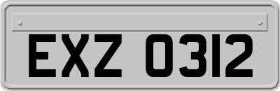 EXZ0312