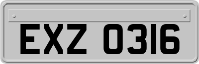 EXZ0316