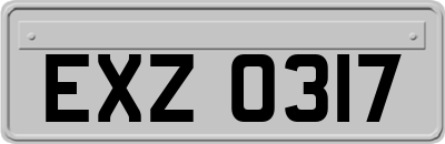 EXZ0317