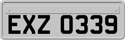 EXZ0339