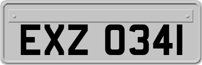 EXZ0341