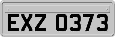EXZ0373