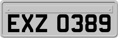 EXZ0389