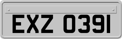EXZ0391