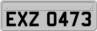 EXZ0473