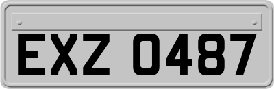 EXZ0487