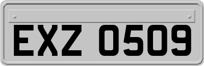EXZ0509