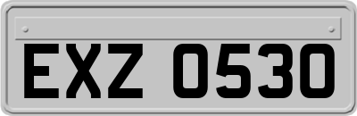 EXZ0530