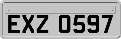 EXZ0597
