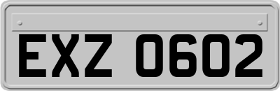 EXZ0602