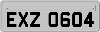 EXZ0604