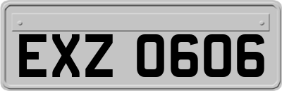 EXZ0606